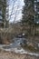 Spring forest at the edge of the road, tall green spruces among dark bare deciduous trees, ice on puddles, bright sunny March day