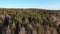 Spring Forest In Finland Filmed By Drone