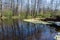 Spring Forest with river with reflection of trees without leaves in water