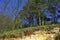 Spring forest on several underground soil layers