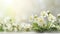 Spring_forest_white_flowers_primroses_on_a_beautiful_1690444181070_4