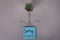 Spring forward sign handwritten on blue posted sticky note with small house desk plant and paper clips shape of flower