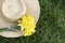 Spring forward, springtime, easter concept, yellow daffodil flowers with a straw hat