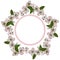 Spring frame with a pattern of blooming apple treeswhite-pink flowers intertwined with leaves, a star-shaped frame with a