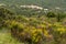 Spring In the French Pyrenees