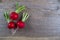 Spring fresh radishes background on a old wooden background