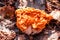 Spring fungus in a natural environment. Early morel fungus. Gyromitra esculenta