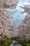 spring garden at ancient Oshino Hakkai village near Mt. Fuji, Fuji Five Lake region