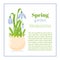 Spring garden. Flower brochure design backgrounds, vector templates of banners or business cards. Spring plant snowdrop