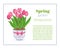 Spring garden. Flower brochure design backgrounds, vector templates of banners or business cards. Spring plant tulip in