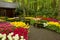 Spring garden Keukenhof, Holland