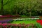 Spring garden in Keukenhof, Holland