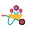 Spring Garden Wheelbarrow Icon