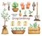 Spring Gardening clipart, Garden tools set, Garden elements, Watercolor garden clipart, seeds, plants in pots, shovel