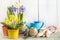 Spring gardening concept. Spring flowers in the pots, yellow primrose, hyacinth flowers, watering can, rope, gardening tools