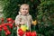 Spring Gardening. Cute toddler little girl in raincoat watering red tulips flowers in the spring summer garden