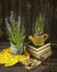 Spring gardening in the garden and at home. Muscari flowers in a pot, yellow tulips, seeds and a yellow watering can.