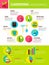 Spring Gardening Infographics