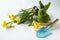 spring gardening, tools, daffodils in a pot and green bunny figure