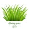 Spring grass,Lawn. Green Grass Isolated on white background, tuft of grass, fresh spring grass, panoramic view Eps 10