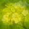 Spring green background with apple flowers