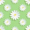 Spring green background seamless pattern with chamomile