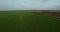Spring green field of agriculture aerial view