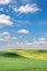 Spring green field and pasture under blue sky