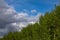 Spring green forest obliquely cloudy stormy sky. There is a blue gap between the clouds. Natural cataclysm, bad weather.