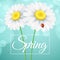 Spring greeting card. Ladybug creeps on the flowers. Realistic chamomile. Glares bokeh. Seasonal flyer for your design. Vector