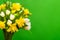 Spring greeting card. White yellow tulip daffodil bouquet on green background. Easter and spring . Woman day concept