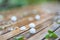 Spring hailstorm in the garden - huge hailstones and chipped plant parts on a wet garden table