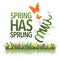 Spring has sprung design