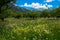 Spring in the heights of the alps in France