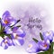 Spring hello, blue crocus flowers. Design element. Eps 10 illustration vector