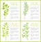 Spring Herbal Plants Posters with Sample Texts