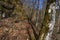 Spring hike in the Danube Valley near Sigmaringen