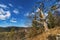 Spring hike in the Danube Valley near Sigmaringen