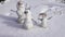 Spring history of the snowman family