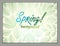 Spring horizontal banner design, vector green and fresh leaves f