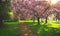 Spring in Hyde Park in London, UK
