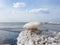 Spring ice on The white sea coast. The Island Of Yagry. Severodvinsk. The Arkhangelsk region