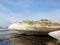 Spring ice on The white sea coast. The Island Of Yagry. Severodvinsk. The Arkhangelsk region