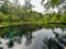 The spring in Ichetucknee State Park in Florida on a sunny day