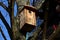 Spring inspection and cleaning of birdhouses on trees for spring nesting. Every spring we clean and check the condition and integr