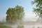 Spring, Jackson Hole Lake in Fog