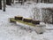 Spring joke in nature.Three stumps on the bench.