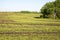 Spring at a Kansas Farm