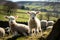 Spring lambs in countryside in the sunshine. AI Generation