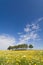 Spring landscape in Alentejo